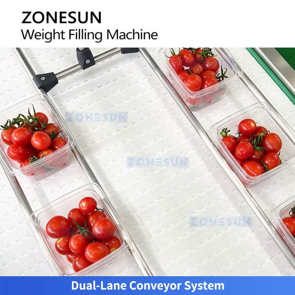 ZS-GWF24 dual-lane conveyor system