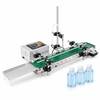 ZONESUN DPYT1500-CONVEYOR machine with filling application examples