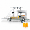 DTDP4G filling application