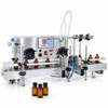 DTPP-2 filling application