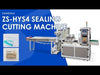 ZONESUN ZS-HYS4 Dual-Channel Horizontal Four-Side Sealing Packing Machine for Sachet Products