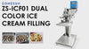 ZS-ICF01 Dual-Color Ice Cream Filling Machine | ZONESUN