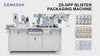 ZONESUN ZS-DPPA Automatic Filling Blister Packing Machine