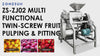 Double Stage Fruit Pulper Machine Vegetable Crusher ZS-ZJ02