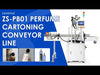 ZONESUN ZS-PB01 Automatic Pick and Place Case Packer Top Loading Packi