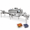 ZONESUN ZS-GWF15 Multi-Lane Fruit Weighing Filling and Tray Sealing Machine — product with application materials on white background