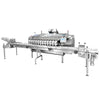 ZS-GWF15 fruit packaging machine white background product image