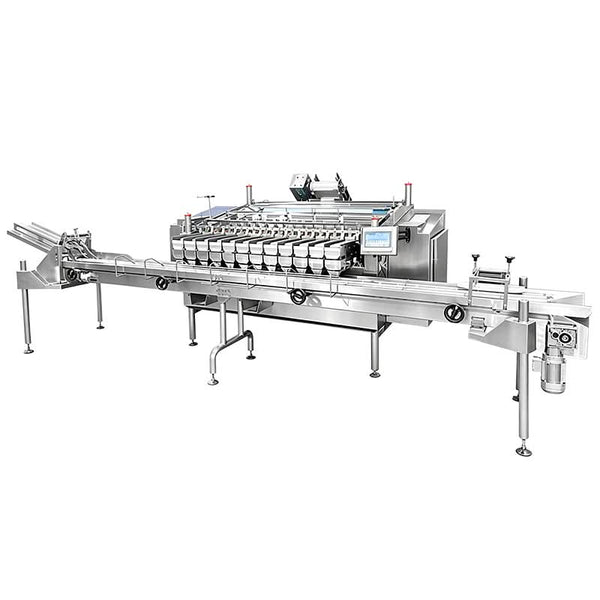 ZS-GWF15 fruit packaging machine white background product image