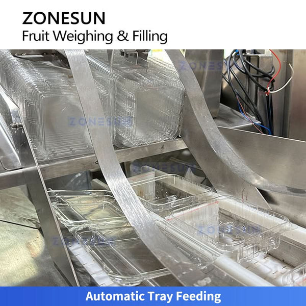 ZS-GWF15 fruit weighing and tray packaging machine detail 1