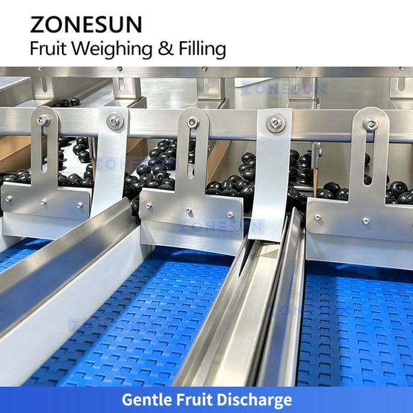ZS-GWF15 fruit weighing and tray packaging machine detail 2