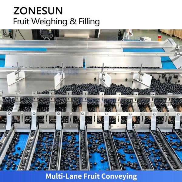 ZS-GWF15 fruit weighing and tray packaging machine detail 3
